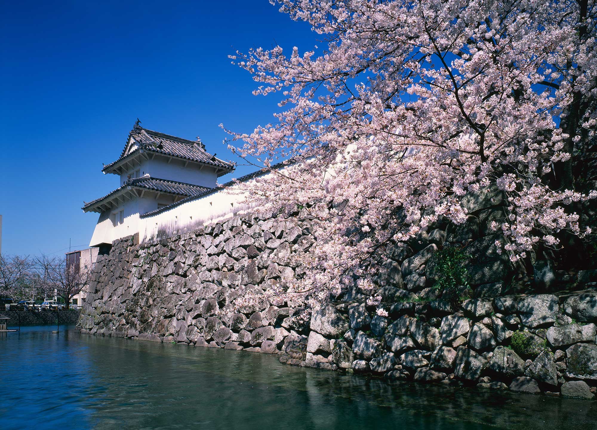 🏯 후나이성 터(후나이조) 이미지 8